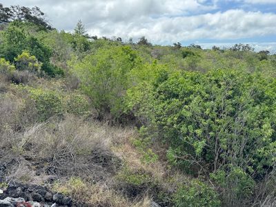 Alii Blvd, Ocean View, HI, 96737