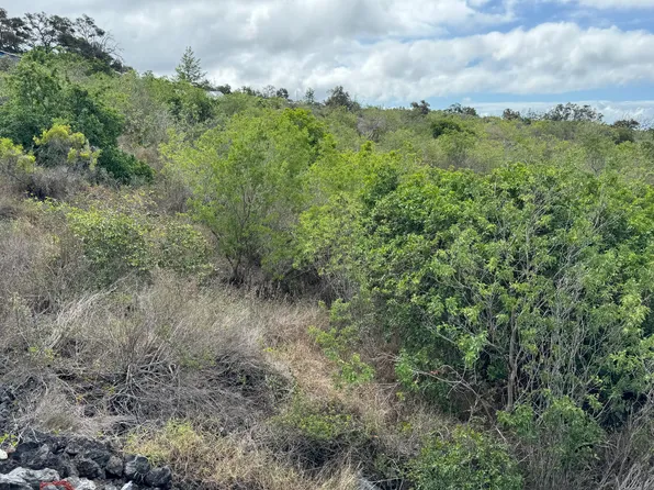 Alii Blvd Lot 4, Captain Cook, HI 96704