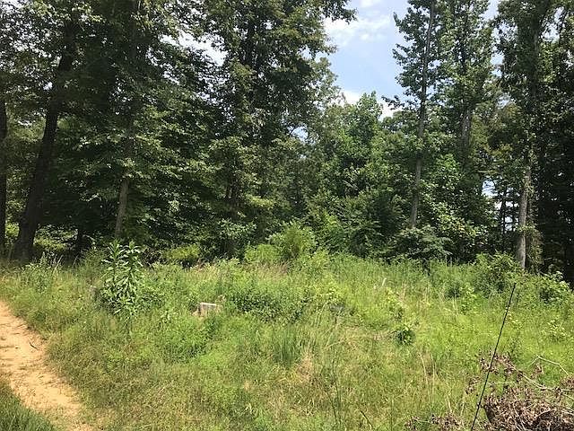 2nd image of 159 Bluebird Ln