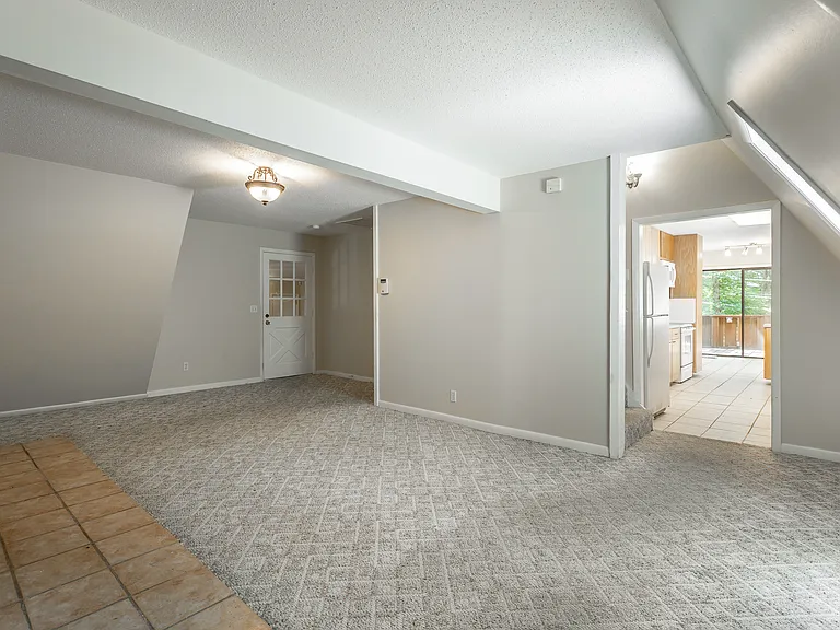 1602 Rustic Homes Ln HD-4_07132022