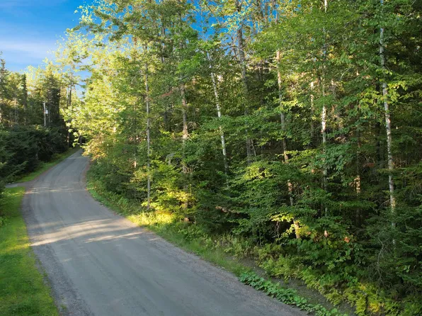 66 Longwood Drive, Grantham, NH 03753