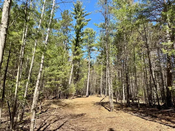 9276 Black Pine Ln, Minocqua, WI 54548
