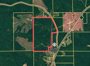 0 Raymond Loop Rd, Andalusia, AL 36420