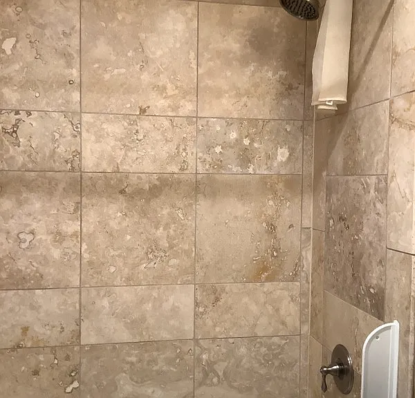 809 W Clover Blossom Cir — Photo 8