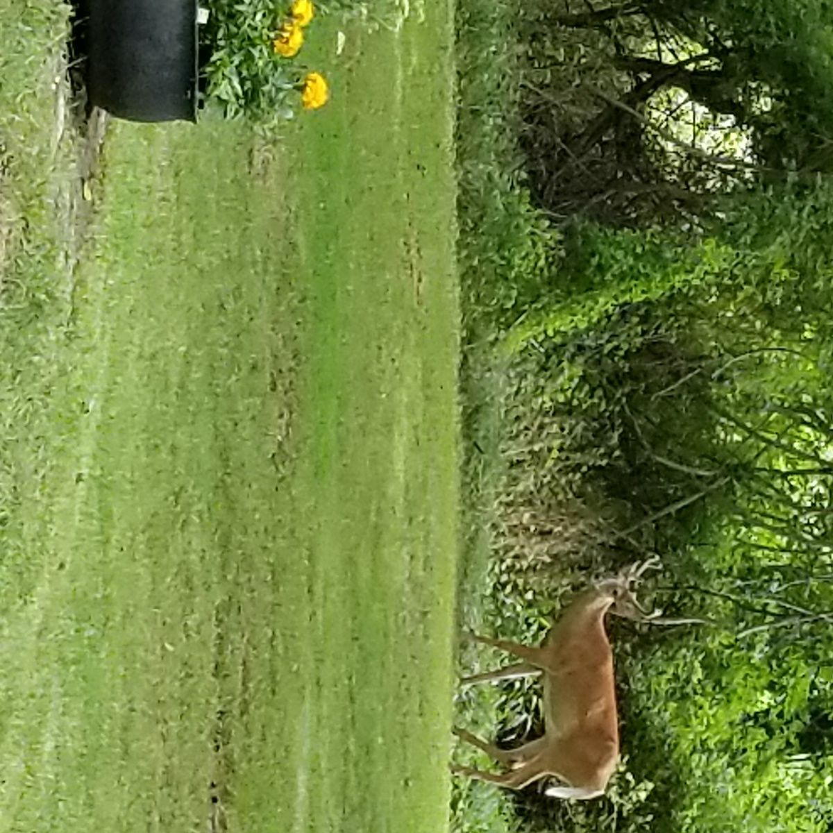 20 Hildreth St, Sag Harbor, NY 11963 Out East