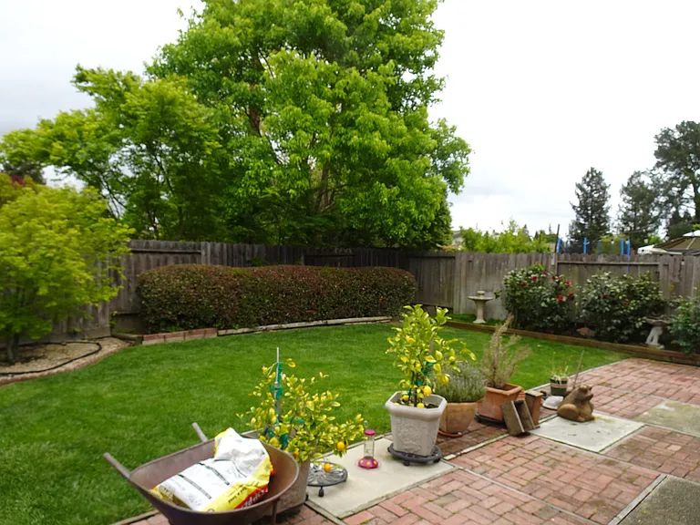 2667 Durango Ln — Photo 9