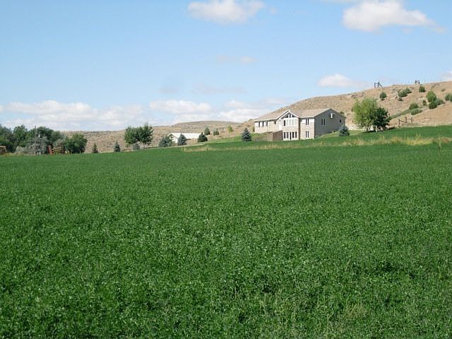 East Hayfield and House Front