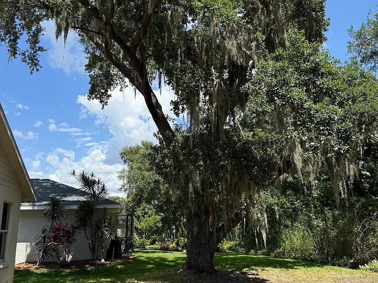 5540 Bent Oak Dr — Photo 8