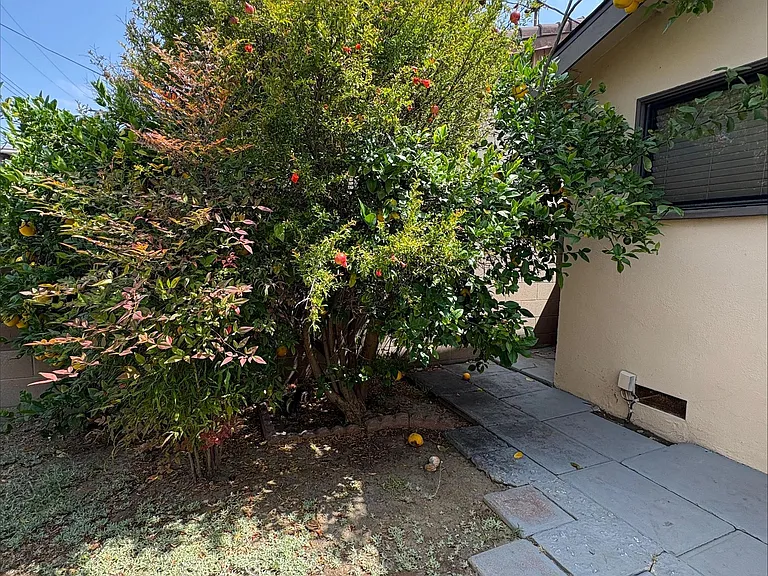 1205 W Cassidy St — Photo 20