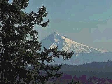 Mt. Hood view from deck, master bedroom and great room