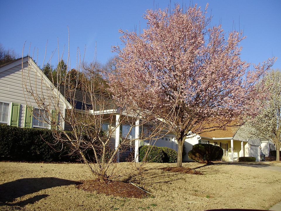 1st image of 502 Crescentwood Ct