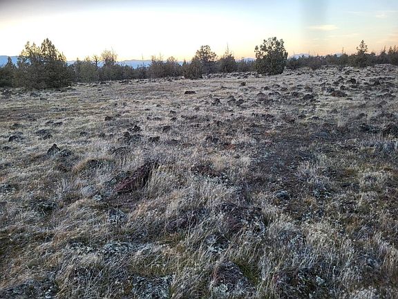 5th image of LOT 38 Big Springs Rd