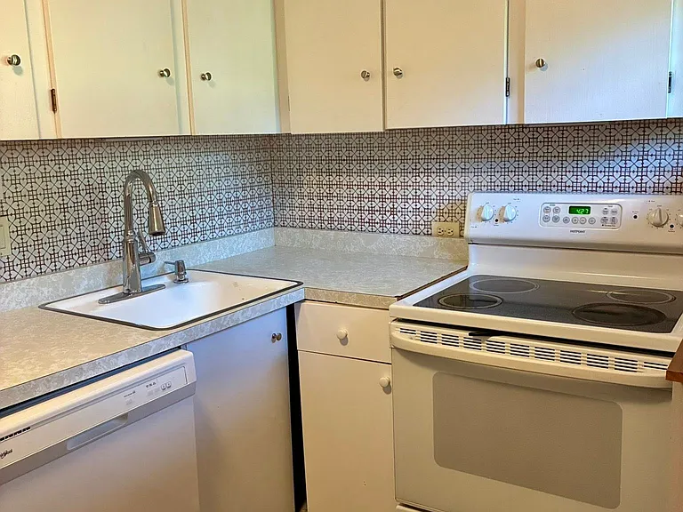 Lower level full kitchen; small but has dishwasher, full sized electric stove, full sized fridge.
