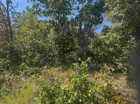 0 McDonald Meadows Pkwy, Bull Shoals, AR 72619
