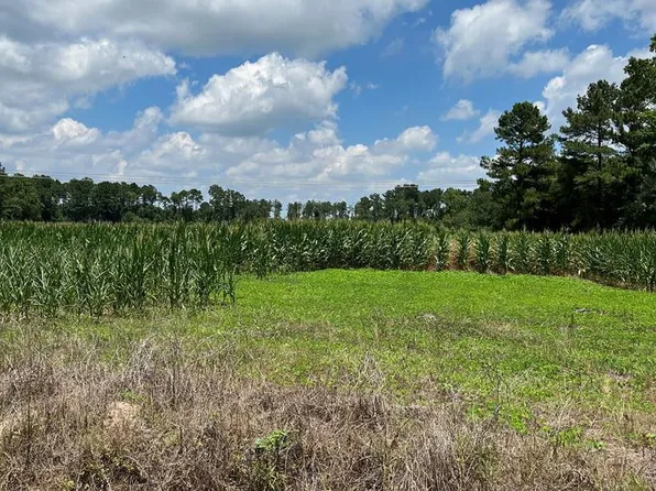 0 Berrywood Rd, Orangeburg, SC 29115