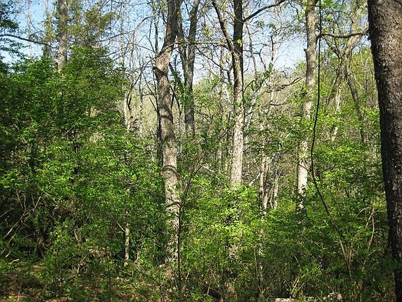 3rd image of 5365 Rollingwood Dr