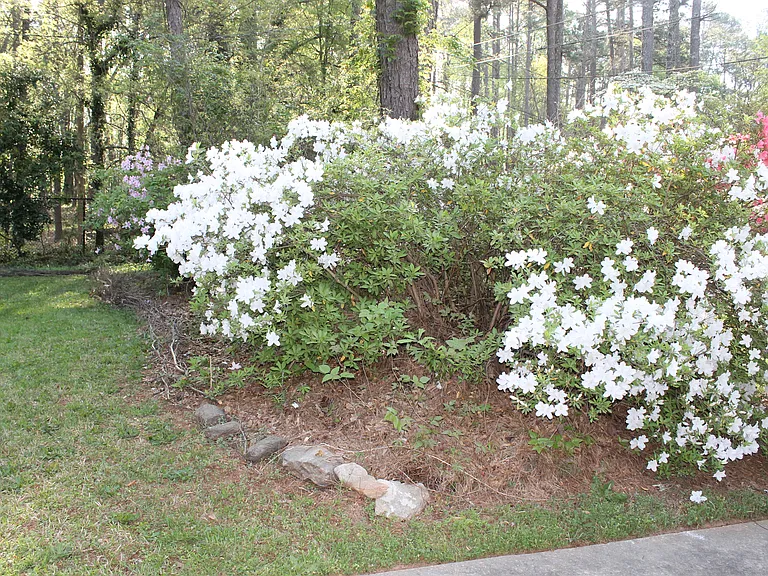 3688 Idle Creek Dr — Photo 6