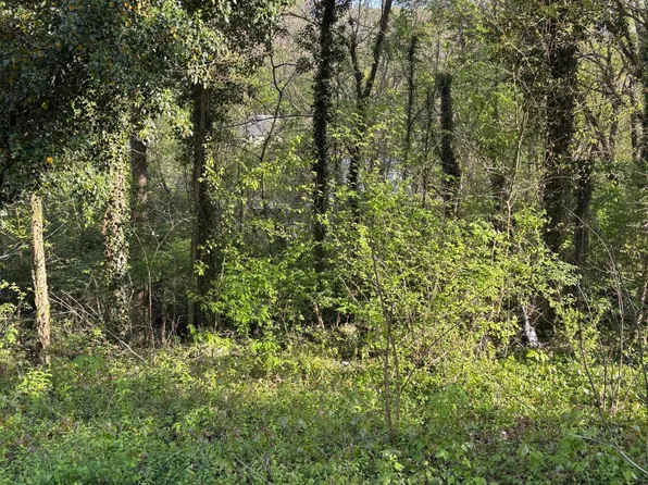 LOT 15 Ashley St, Kingsport, TN 37664