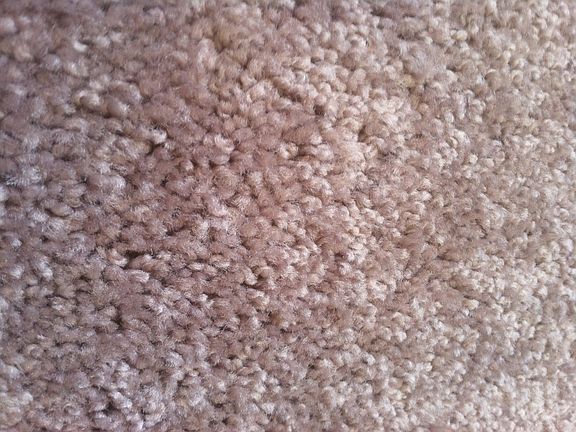 New carpet color