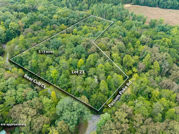 23 Possum Poke Rd, Ellijay, GA 30536