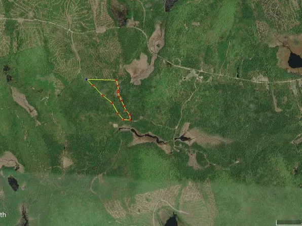 13 W Moores Road, Springfield, ME 04487