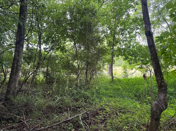 7 Sawmill Rd Lot 7, Palmer, TN 37365