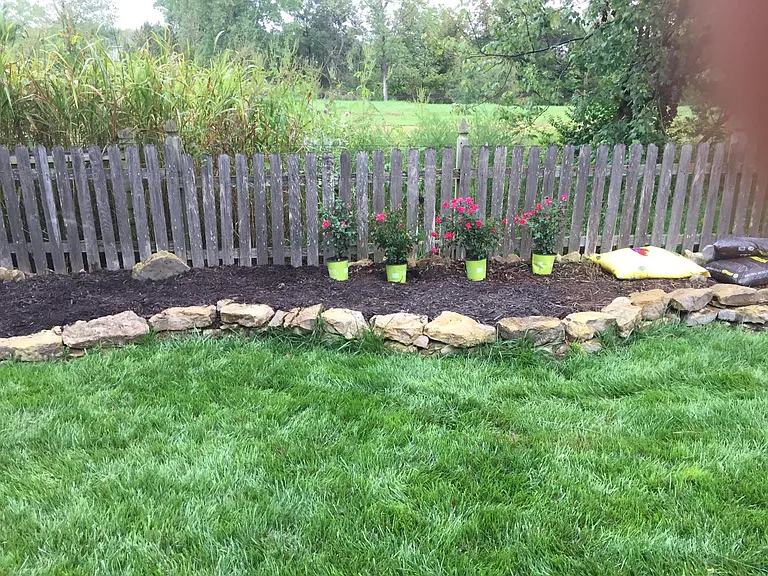 Dug up old rose bushes and ready to plant 4 new knock out re