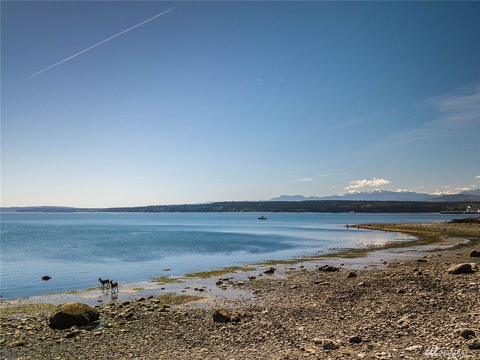 Port Townsend living at it's finest. PT Bay w/ Olympics to the west. Notice the deer on the shore- even they can't resist! 