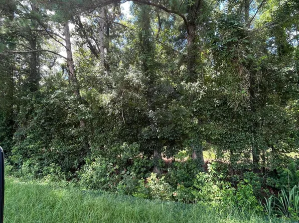 0 Dewitt Gooden Road, Elizabethtown, NC 28337