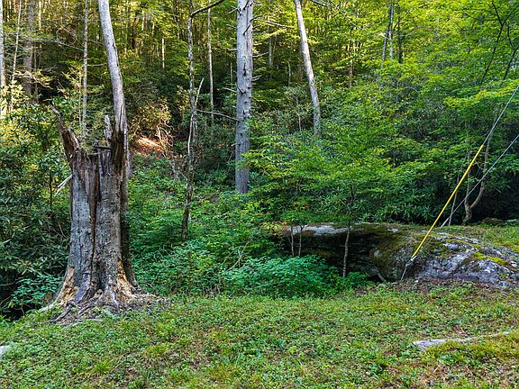 5th image of 0 Cane Creek Mountain Rd Lot 102