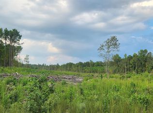 0 Roy Webb Cutoff Rd #0, Piedmont, AL 36272