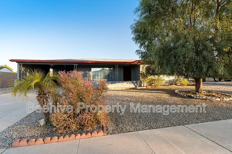 Dreamland Villa 8 — Photo 2