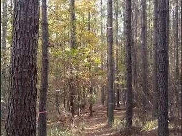 1047 Ponder Trammell Rd, Juliette, GA 31046