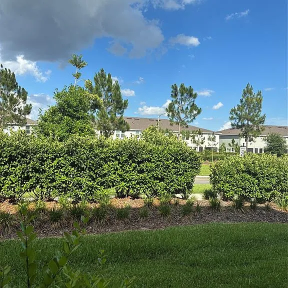 31371 Amberview Bnd — Photo 33