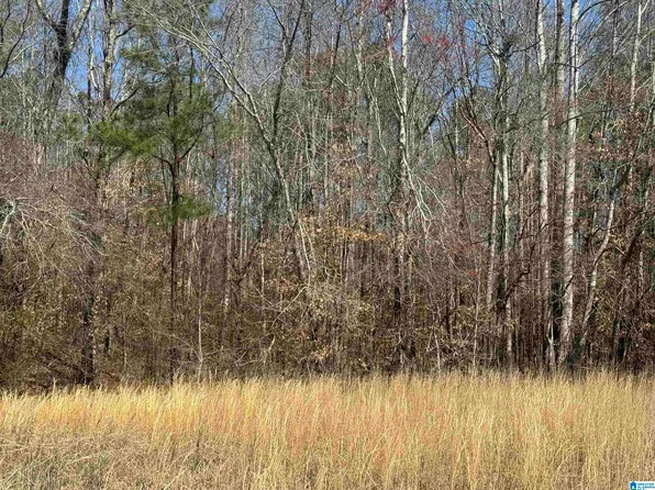 13 Mary Dr, Roanoke, AL 36274