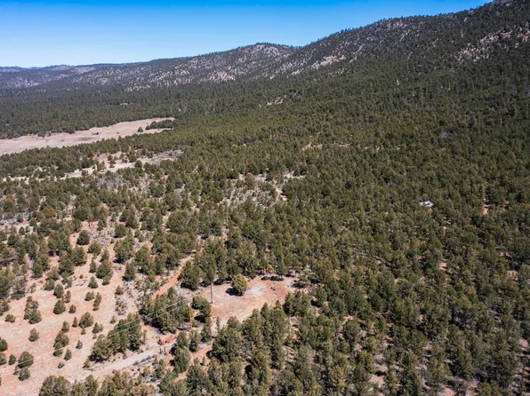 1480 State Road 111, Vallecitos, NM 87581