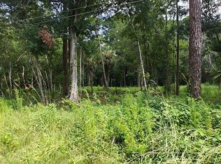 8401 Amelia Trl Lot 45, Kissimmee, FL 34747