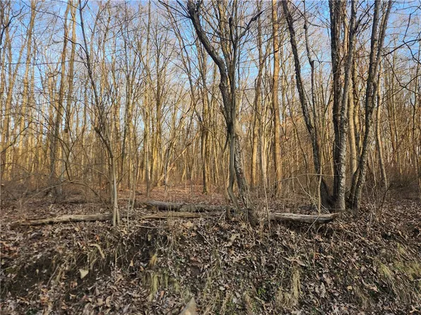 0 Coaltown Branchton Rdg, Boyers, PA 16020