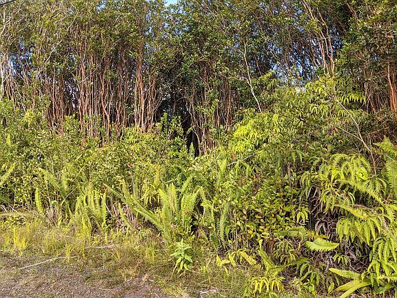 5th image of Road 7 Opeapea Lot 4799