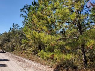 0 SW County Line Rd, Lee, FL 32059