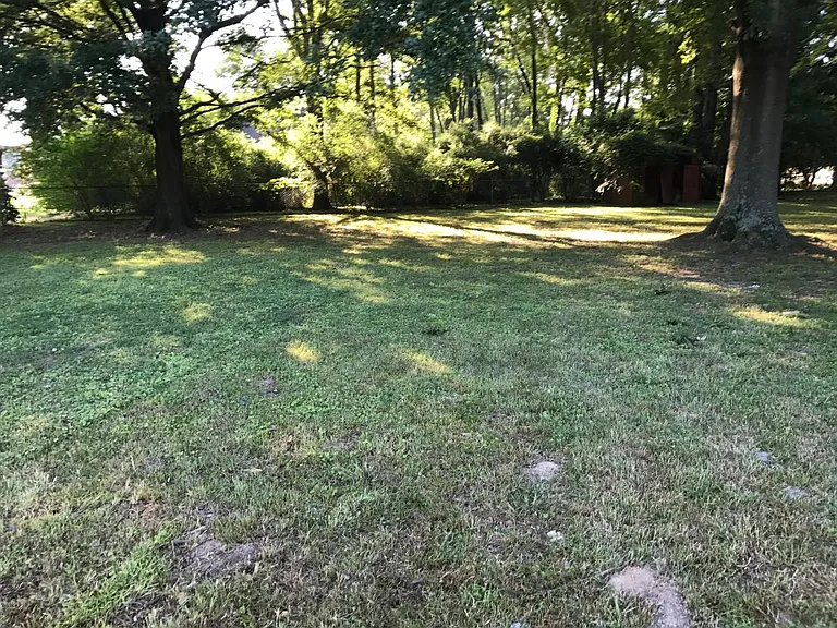 20 Live Oak Pl — Photo 6