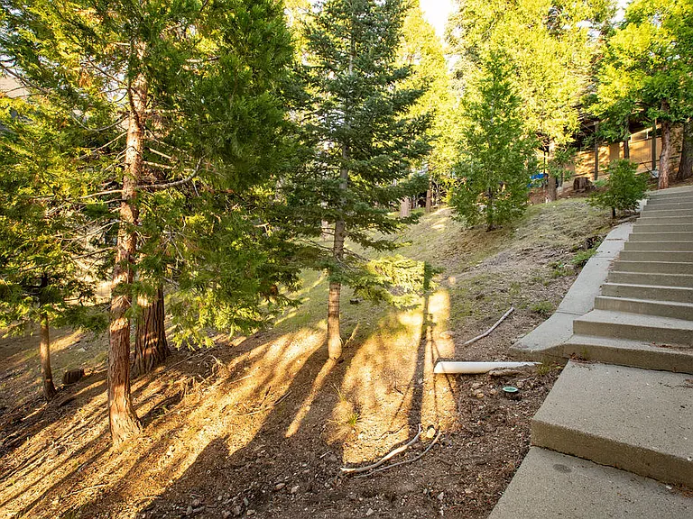 521 Pioneer Rd — Photo 48