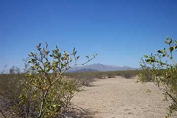1st image of 53601 S Centennial Circle #10