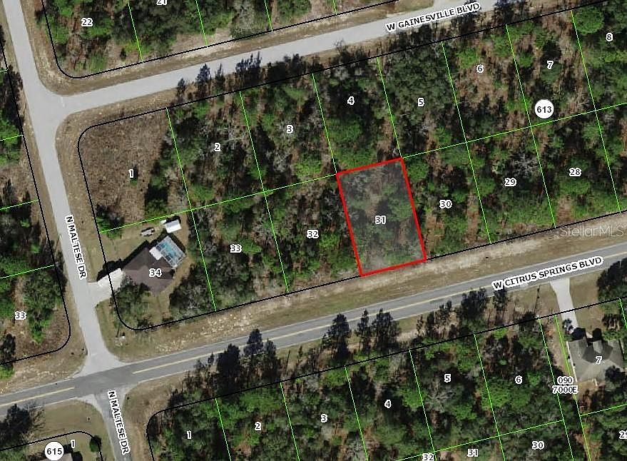 1st image of 3341 W CITRUS SPRINGS BOULEVARD LOT 31