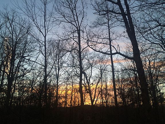 View from front porch
