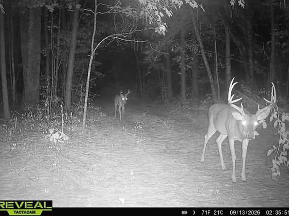 3rd image of LOT 3 White House Rd