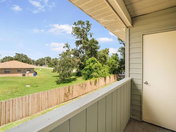 239 Red Maple Pl, Brandon, FL 33510