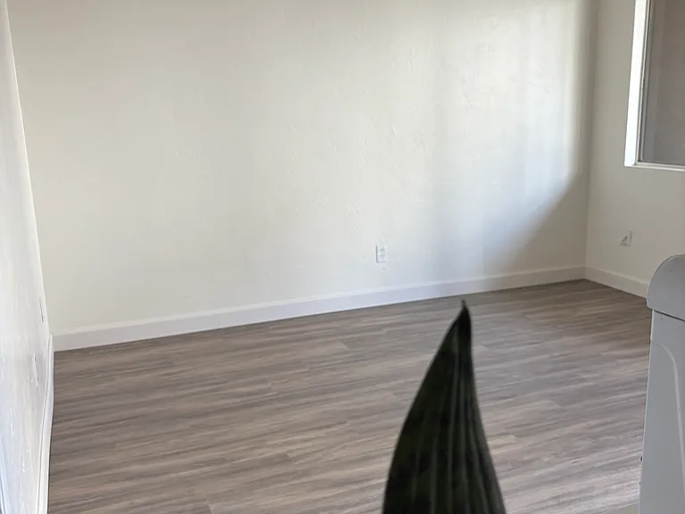 3538 Del Rey St #2 — Photo 11