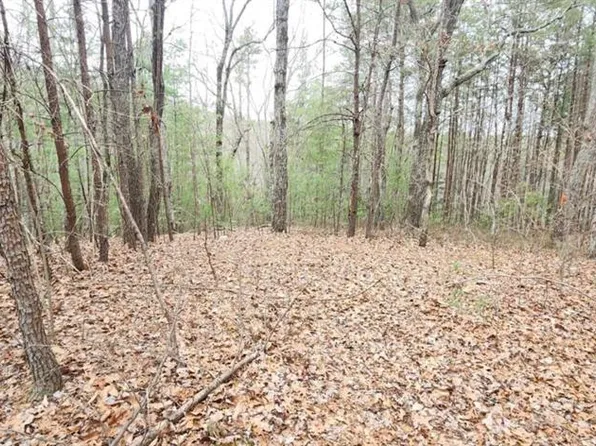 361 Vista Dell Ln #10, Tallulah Falls, GA 30573