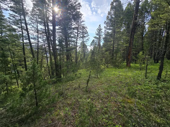 Johnson Quarta Lode, Philipsburg, MT 59858